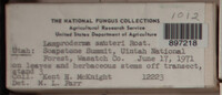 Image Associated With the Occurence